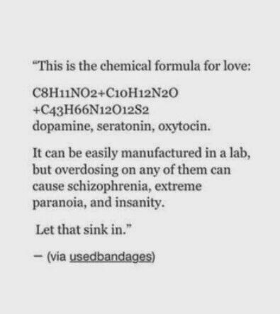 The chemical formula for love Love Chemical Formula, Formula For Love, Chemistry Notes, Stoic Quotes, Love Facts, Important Quotes, Chemical Formula, Story Board, Sink In