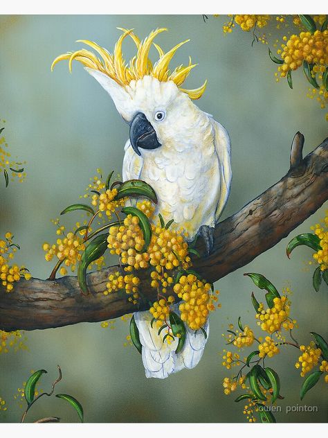 White Cockatoo, Australian Painting, Parrots Art, Australian Wildlife, Study Help, Australian Birds, Bird Artwork, Australian Animals, Tropical Art