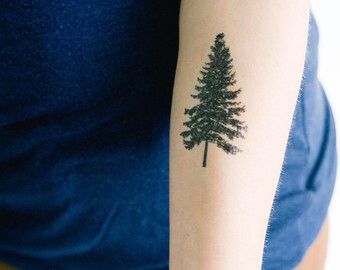 Blue spruce Blue Spruce Tattoo, Spruce Tattoo, Spruce Tree Tattoo, Blue Spruce Tree, Pine Tree Tattoo, Fox Tattoo, Spruce Tree, Blue Spruce, Hot Tattoos