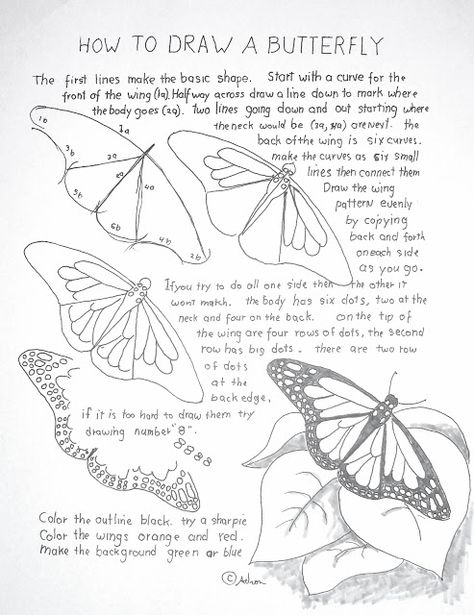 How to draw a butterfly Draw A Monarch Butterfly, Butterfly Lessons, Draw A Butterfly, Butterfly Coloring, Art Worksheets, Free Printable Art, Butterfly Drawing, Kids Coloring, Art Instructions