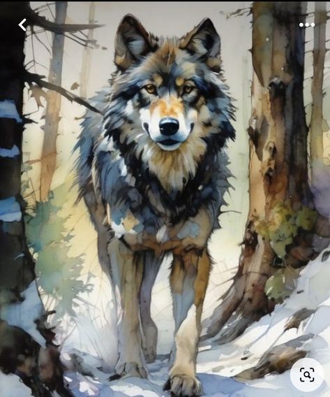 Wolf Art Drawing, Wolf Watercolor, Loose Watercolor Paintings, Watercolor Wolf, Wolf Artwork, Wolf Painting, Nature Art Drawings, Wildlife Artwork, Wolf Pictures