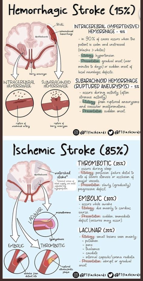 Respiratory Care Practitioner, Neuro Nursing Notes, Nremt Study Guide Test Prep, Neuroanatomy Notes, Nurse Practitioner Notes, Ischemic Strokes, Neurology Notes, Neurosurgery Study, Medicine Anatomy