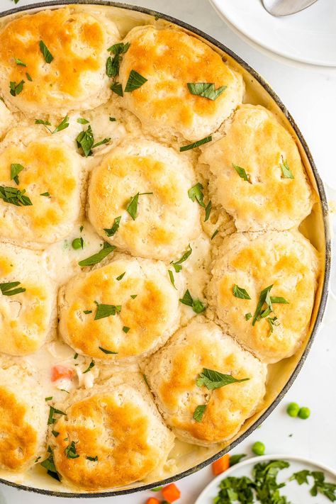 Chicken And Biscuits Recipe Easy, Chicken Stew And Biscuits, Rotisserie Chicken And Biscuit Recipes, Easy Dinner With Biscuits, Frozen Biscuit Recipes Dinners, Chicken And Biscuits Stove Top, Dinners With Biscuits, Chicken And Bisquick Recipes, Easy Chicken And Biscuits Recipe