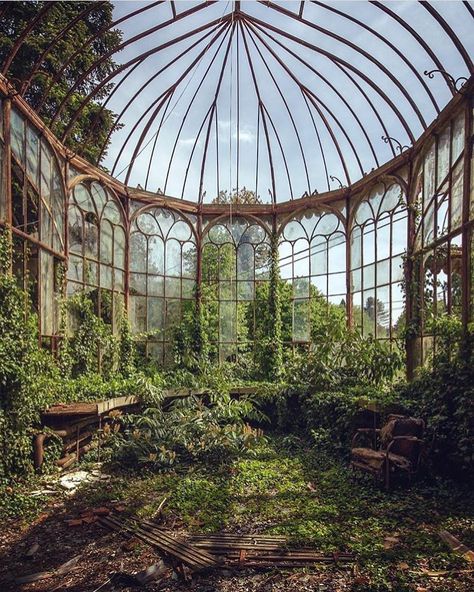 Abandoned greenhouse Abandoned Greenhouse, Candela Obscura, Memory Palace, Photogram Photography, Victorian Greenhouses, Fantasy Architecture, Jungle House, Abandoned Mansions, Art Subject