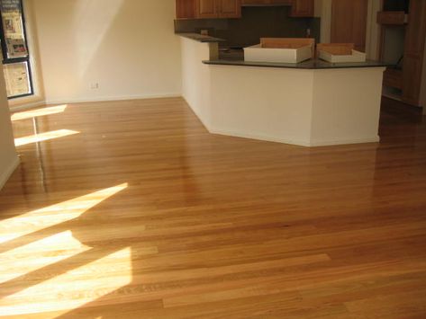 Solid Australian Beech | Boral Solid | Hardwood Flooring | Floorboards Online Australia | Timber Flooring Flooring Types, Lounge Rooms, Solid Hardwood Flooring, Solid Hardwood Floors, Timber Flooring, Tongue And Groove, Types Of Flooring, Hardwood Flooring, Lounge Room