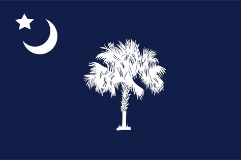 Vintage Frame Design, Land Rover Series 2, South Carolina State Flag, South Carolina Flag, Hawaii Flag, Flag Images, Palmetto Tree, Moon Icon, Sullivans Island