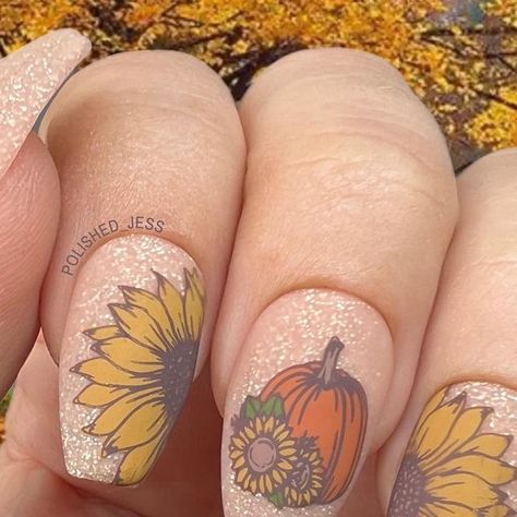 ☀️ Jess 🌴 on Instagram: "🌻 I want sunflowers in my garden 🌻 This months theme for the Matte Mani Collab was Garden. I love when themes are open for interpretation because it provides room for a variety of manis!! I have always wanted my own sunflower 🌻 so I decided to do a sunflower mani and the pumpkin just worked with my idea! What do you think? Thanks to @momlifenails - I love co-hosting this collab with you! Shoutout to ALL the participants this round - you really came through with some Burgundy Nails With Sunflower, Fall Sunflower Nail Art, Pumpkin Sunflower Nails, Sunflower Fall Nails, Maroon And Sunflower Nails, Maroon Sunflower Nails, Sunflower And Pumpkin Nails, Cowprint Sunflower Nails, Concert Nails