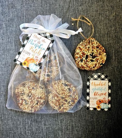 Birdseed Feeders, Pumpkin Bird, Pumpkin Tags, Christmas Food Crafts, Bird Seed Feeders, Types Of Birds, Cute Sayings, Bird Box, Bird Boxes