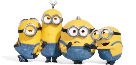 Minions Minion Photos, Minions 4, Minions Bob, Minion 2, Minion Movie, Cute Minions, Minions Wallpaper, Doll Ideas, Despicable Me