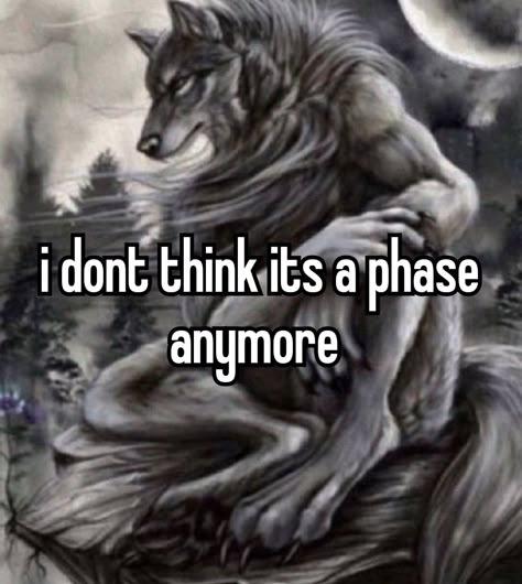 You Sink Into My Clothes Wolf, Alpha Wolves Meme, Alpha Wolf Funny, Alpha Wolf Memes Hilarious, Wolf Memes Funny, Alpha Wolf Pictures, Crazy Images, Alpha Quote, Wolf Meme