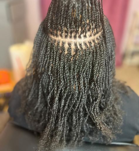 Let’s welcome another beautiful locd woman to our tribe!! ✨✨✨ 9 hour install 2 strand microlocks #microlocks #microlocs #locs #locsinstallation #texaslocs #blissfulcreations4u #BC4U #loveherlocs #locs4life #womenwithlocs Micro Locs, Locs, Love Her, Hairstyles, Hair, Quick Saves