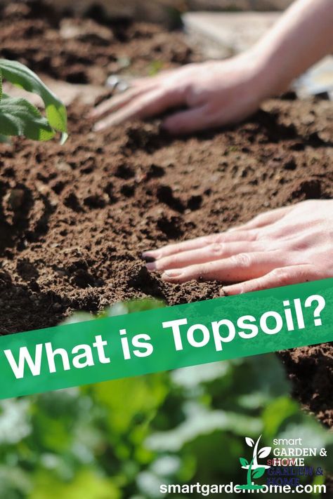 If you’re starting a garden, you may need to add or supplement your existing soil. But what soil should you go for? There are many soil types and varieties out there, from potting mixes to compost. At the �“top” is Topsoil. So, what is it? https://smartgardenhome.com/gardening-how-to/topsoil/?utm_source=pinterest&utm_medium=smartgardenhome&utm_campaign=publer #topsoil Top Soil For Garden, How To Amend Sandy Soil, Soil Types, Garden Pest Control, Smart Garden, Soil Layers, Starting A Garden, Sandy Soil, Peat Moss