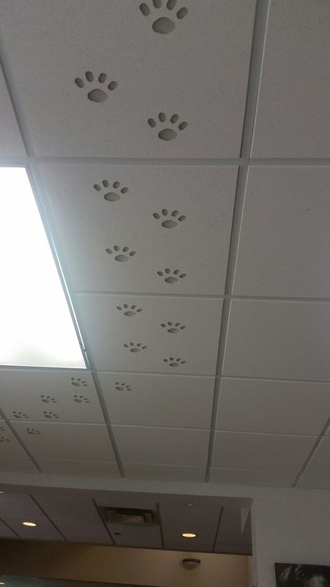 Paw priny ceiling tiles Veterinary Services, Ceiling Tiles, Filing Cabinet, Paw Print, Ceiling, Electronic Products, Home Decor, Home Décor