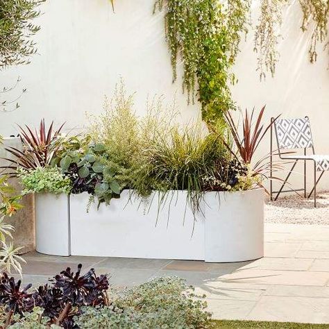 Family Backyard, Balcony Plants, Modern Landscape Design, Plants Decor, House Plants Decor, Home Landscaping, Colorful Plants, Garden Landscape Design, Modern Landscaping