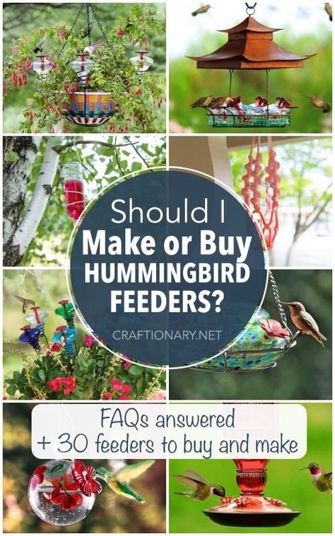 Buy or make DIY hummingbird feeder for your home with hummingbird feed nectar guide and FAQs to decide the best option for your home garden. When To Put Out Hummingbird Feeders, Hummingbird Feeder Ideas, Hummingbird Feeder Recipe, Homemade Hummingbird Feeder, Homemade Hummingbird Nectar, Diy Hummingbird Feeder, Wine Bottle Bird Feeder, Make A Bird Feeder, Hummingbird Food