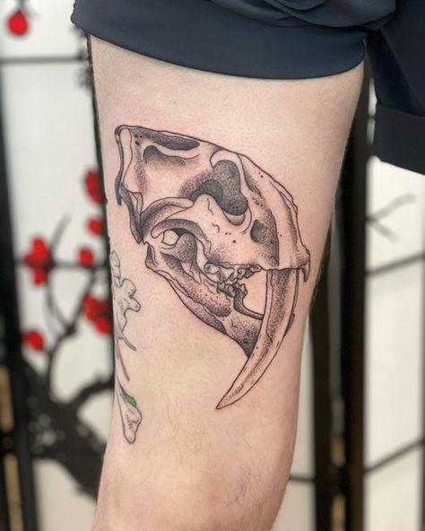 Saber Tooth Skull Tattoo, Sabertooth Tiger Skull Tattoo, Sabertooth Tattoo, Sabertooth Tiger Tattoo, Saber Tooth Tiger Tattoo, Tiger Skull Tattoo, Cat Skull Tattoo, Saber Tooth Tiger, Sabertooth Tiger