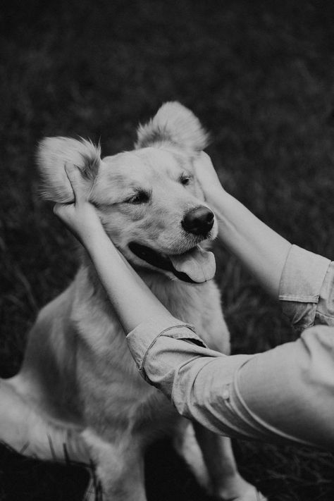 Dog Owner Photoshoot, Dog Family Pictures, Family Dog Photos, Pet Photography Poses, Dog Photoshoot Pet Photography, Dog Photography Poses, Animal Photoshoot, Puppy Photography, Greensboro North Carolina