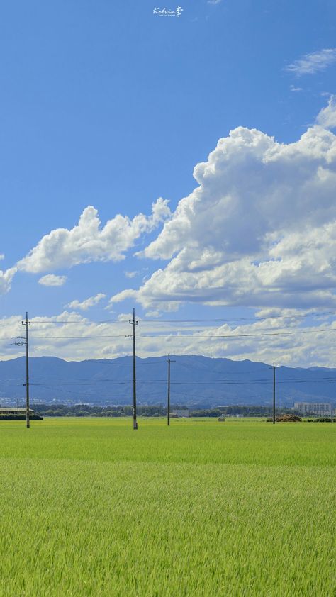 Ghibli Landscapes, Story Background, Cocoppa Wallpaper, Power Lines, Arte Inspo, Beautiful Landscape Wallpaper, Alam Yang Indah, Anime Scenery Wallpaper, Landscape Wallpaper