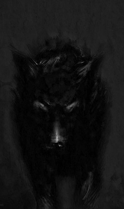 Joker Card Tattoo, Wolf Pics, Beast Of Revelation, Shadow Wolf, Wolf Background, Wolf Tattoo Sleeve, Graffiti Wallpaper Iphone, Rpg Ideas, Fantasy Wolf