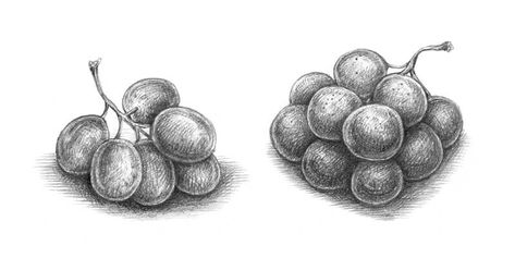 How to Draw Grapes with Colored Pencils Grapes Sketch Pencil, Grapes Drawing Pencil, Grape Drawing Simple, Grape Sketch, Grapes Sketch, Drawing Grapes, Grapes Drawing, Candle Sketch, Objects Drawing