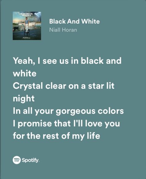 black and white - heartbreak weather by niall horan — spotify lyrics Niall Horan Lyrics, Haley James Scott, James Scott, My Love Song, Spotify Lyrics, Amazing Songs, Lyrics Aesthetic, Favorite Lyrics, Love Songs Lyrics