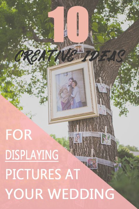 Pictures Display Ideas, Wedding Picture Display At Reception, Wedding Picture Display, Big Picture Frames, Pins Display, Displaying Pictures, Wedding Tree, Tree Photo, Photo Display