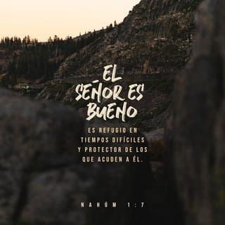 Nahúm 1:7 Nuestro Dios es bondadoso y cuida de los que en él confían. En momentos de angustia, él nos brinda protección. | Traducción en Lenguaje Actual (TLA) | Descargar la Biblia App ahora Nahum 1:7, Peaceful Words, Youversion Bible, Bible Images, Daily Bible Reading, Bible Plan, Christian Posters, The Lord Is Good, Bible Versions