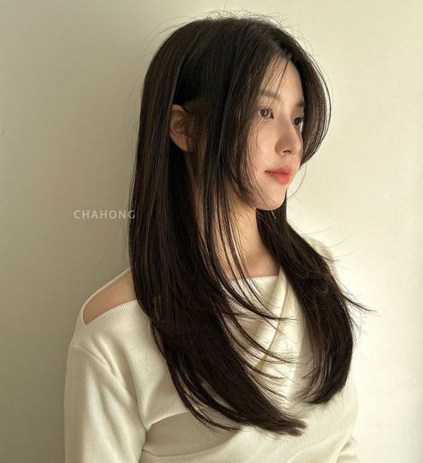 Korean Haircut Long Layered Hair Straight, Hime Cut With Curtain Bangs, Asian Haircut Long Layers Straight Hair, Long Layers Asian Hair, Long Korean Haircut, Hime Layer Hairstyle, Long Hair Korean Style Haircuts, Ulzzang Haircut, Asian Long Haircut