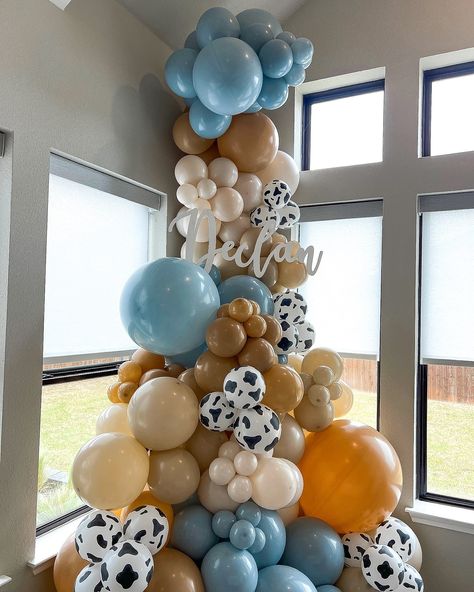 Rising to new heights in style! 🎈✨ Our balloon display featuring the sweetest colors and playful cow print balloons, create a perfect backdrop that is sure to capture hearts 🤠🐄 Cow Print Balloons, Balloon Display, Printed Balloons, Corner Designs, Cow Print, In Style, Dallas, Cow, Balloons