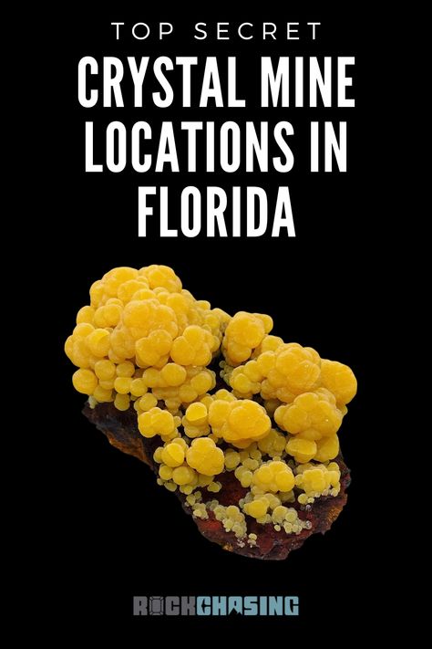 Embark on a crystal mining adventure in Florida! Explore the enchanting crystal mines of Florida and uncover the wonders of crystal digging in Florida. Unleash your inner gem hunter and create unforgettable memories! Crystal Digging, Crystal Mining, Gem Hunting, Gem Hunt, Civilian Conservation Corps, Places In Florida, Types Of Gems, Gem Mining, Unforgettable Memories