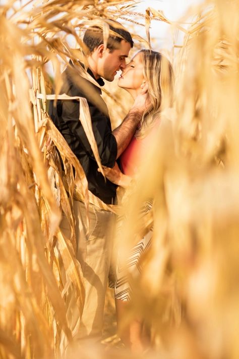 love this in a corn maze...fall engagements Corn Maze Wedding, Corn Engagement Pictures, Corn Maze Engagement Photos, Corn Maze Family Photos, Corn Maze Maternity Pictures, Pumpkin Patch Engagement Photoshoot, Cornfield Photoshoot Couples, Engagement Photos Pumpkin Patch, Corn Maze Photoshoot Couple