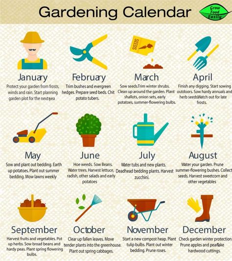 Zone 6 Planting Schedule, Zone 6 Planting, Homestead Garden Layout, Planting Schedule, Gardening Calendar, When To Plant Vegetables, Planting Calendar, Plant Zones, Gardening Zones