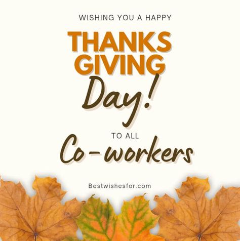 Happy Thanksgiving 2023 Wishes For Employees, Coworkers | Best Wishes Thankful For Coworkers Quotes, Quotes For Colleagues, Colleagues Quotes, Thanksgiving Note, Coworker Quotes, 2023 Wishes, Thanksgiving 2023, Thanksgiving Messages, Thanksgiving Wishes