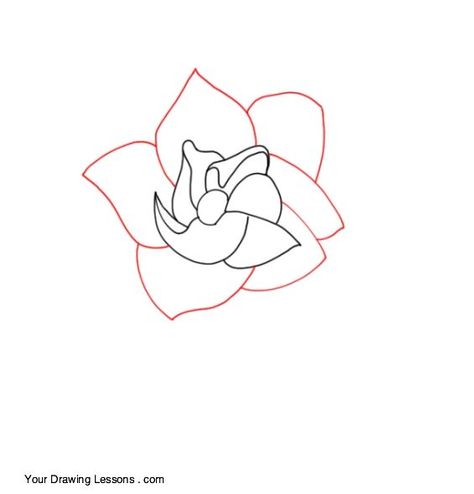 How To Draw A Gardenia – Your Drawing Lessons Flower Step By Step, Plant Projects, Outline Drawing, Your Drawing, Sketches Simple, Outline Drawings, Drawing Lessons, Art Drawings Sketches Simple, Floral Jewellery