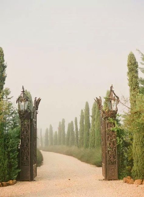 Décor de Provence Travel Edits, Driveway Landscape, Driveway Paving, Statue Garden, Purple Home, Foggy Morning, Open Road, Garden Gates, Narnia