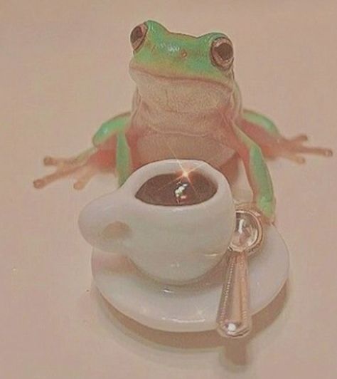 Frog Drinking Tea, Drinking Tea, Tea