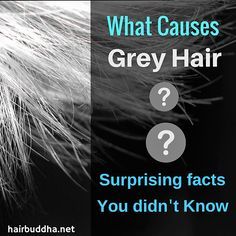 Grey Hair Meme, What Causes Gray Hair, Grey Hair Reversal, Premature Grey Hair, Reverse Gray Hair, Natural Hair Colour, Early Grey, Vitamin Deficiency, Facts You Didnt Know