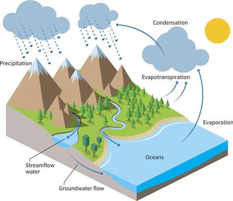 Water Cycle Project Ideas - Science Struck Water Cycle Model, Water Cycle For Kids, Water Cycle Project, Water Cycle Diagram, Cycle Drawing, Cycle For Kids, The Water Cycle, Science Notebooks, Water Drawing