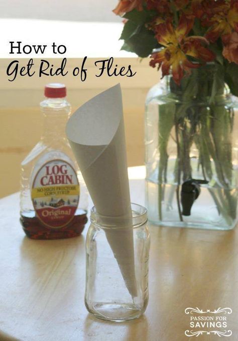 get rid of flies Clean A Mattress, Get Rid Of Flies, Water Paper, Fly Trap, Cleaners Homemade, Diy Tips, Mattress Topper, Diy Household, Diy Cleaning Products