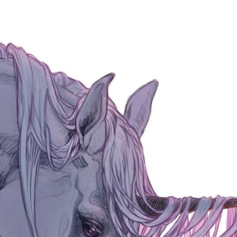 Yewrezz on Instagram: "Here’s another unicorn sketch.🦄 As you can see in the progress video I have a winged/Pegasus version as well, but I think I prefer this. Hope you like it! 

#illustration #dailysketch #drawdaily #unicorn #horseart #horses #sketching #mythicalbeasts #digitalart #lineart #progressvideo #procreate #applepencil #sketchinstadaily #fantasyart #nostalgia" Unicorn Sketch, Horse Art, Line Art, Fantasy Art, Digital Art, Sketch, Horses, Instagram, Art