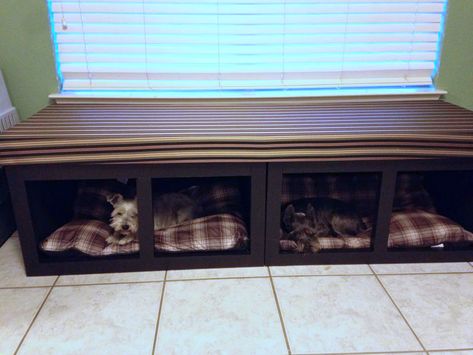 Dog Crate Bench Seat, Bed In Window, Bed By Window, Dog Bed Bench, Dog Window Seat, Ottoman Dog Bed, Bed Window Seat, Built In Dog Bed, Animal Furniture