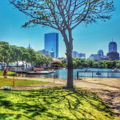 Summertime on the Charles River Esplanade! Photo taken by @beercanmuseum #boston Boston Charles River, Charles River Boston, Boston Strong, Charles River, Boston Massachusetts, City House, In Boston, Massachusetts, Cambridge