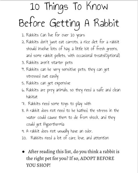 Bunny Care Tips, Rabbit Pellets, Rabbit Facts, Funny Bunny Videos, Pet Rabbit Care, Rabbit Names, Raising Farm Animals, Bunny Room, Raising Rabbits