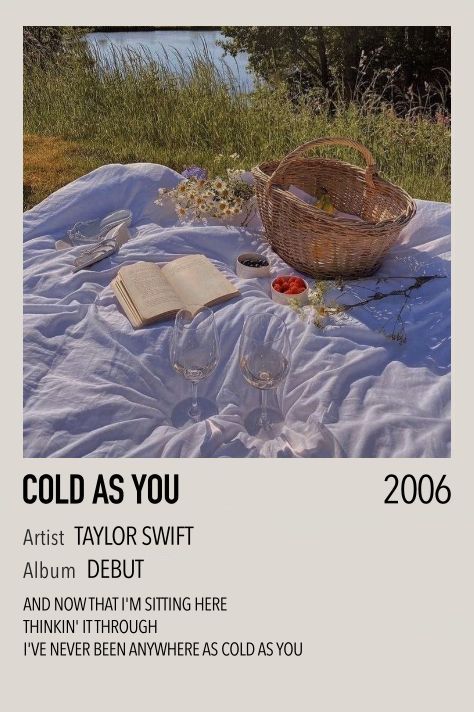 Taylor Swift Polaroid Poster, Taylor Swift Polaroid, Taylor Swift Debut Album, Taylor Swift Discography, Taylor Songs, Polaroid Poster, Taylor Swift Posters, Taylor Swift Album, Taylor Swift Songs