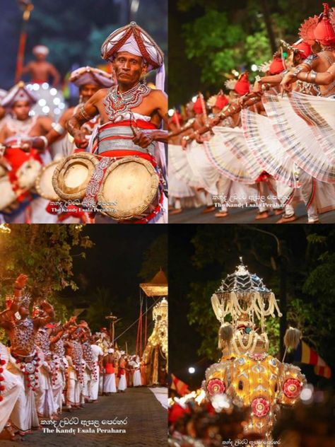 cultural event. The procession is led by drummers and dancers, dressed in ornate costumes and jewelry, who move in a rhythmic and synchronized manner. They are followed by a majestic tusker elephant adorned with brightly colored cloths and jewels, carrying the sacred tooth relic of the Buddha. The procession winds its way through the streets of Kandy, the cultural capital of Sri Lanka, and is accompanied by the sound of music, chanting, and the scent of burning incense. #kandy #srilanka Kandyan Dancers Sri Lanka, Sri Lanka Clothes, Tusker Elephant, The Sound Of Music, Cultural Capital, Burning Incense, Asian Culture, Kandy, Cultural Events