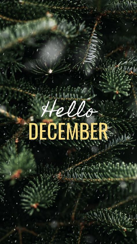 Hello December Instagram story template, editable text | premium image by rawpixel.com / nun Hello December Pictures, Hello December Images, December Images, December Pictures, Holiday Playlist, Welcome December, December Crafts, Hello November, Hello December