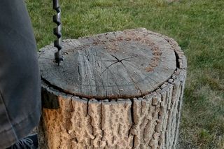 Tree Stump Decor, Kids Fairy Garden, Outside Planters, Tree Stump Planter, Autumn Fern, Log Planter, Tree Fern, I Would Rather, Unique Planter