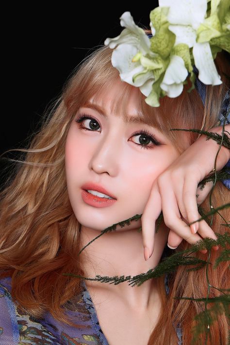 Twice-Momo "More & More" Concept Photo Momo More & More, Twice More & More, Momo Hirai, Sana Minatozaki, Twice Kpop, Twice Sana, Aesthetic People, Minatozaki Sana, Hirai Momo