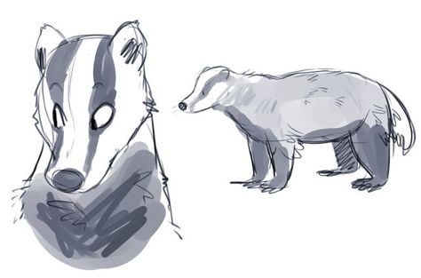 Badger Drawing Reference, Badger Fursona, Badger Character Design, Honey Badger Drawing, Badger Drawing, Badger Art, Badger Illustration, Perspective Drawing Architecture, Space Animals