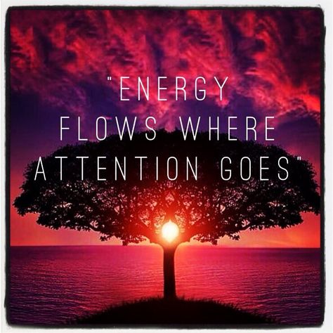 Energy flows where attention goes! #motivation Get Back Quotes, Back Quotes, Everything Is Energy, Vibrational Energy, Bird Watcher, Cosmic Energy, Make Love, Energy Flow, Mindfulness Meditation